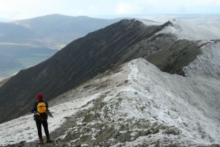 Descubre las gemas locales 